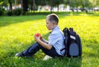 charming blond boy 6 years old in