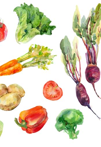 koltsova - stock.adobe.com - illustrative purposes only
