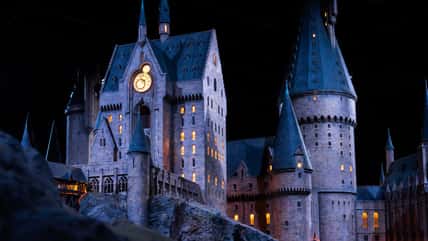 Here’s A List Of All The Confirmed Harry Potter Cast Members