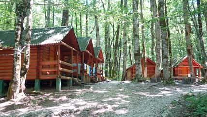 A Camp Counselor Heard Screaming And A Door Slamming When Nobody Else Was In The Building