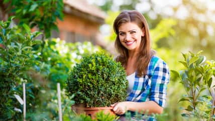 Her Neighbor Snuck Over To Her Yard To Steal Dirt From Her