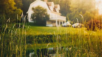 She Saw A Ghost Crawling On All Fours In The Haunted Farm House She Grew Up In