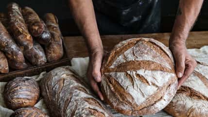 His Wife Wrecked His Sourdough Starter, So He Packed A Bag And Left Home