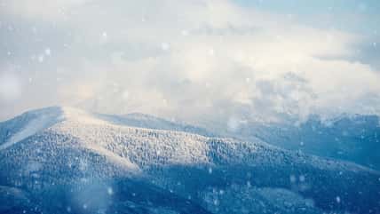 He Saw A Strange Creature In The Snow While Hunting In The Appalachian Mountains