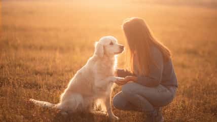 She Dumped Her Boyfriend After He Said She Should Let Her Sick, Elderly Dog Die And Not Waste Her Money