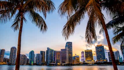His Girlfriend Blew Their Rent Money On A Girls’ Trip To Miami, So He Freaked Out On Her