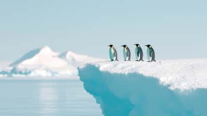 You Need To Remove Your Appendix To Live In This Town In Antarctica