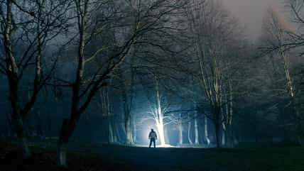 People Talk About The Creepiest Things They’ve Seen In The Woods