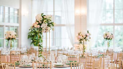 She Called Off Her Wedding A Week Before It Was Supposed To Happen, And She Went On Her Honeymoon With A Friend
