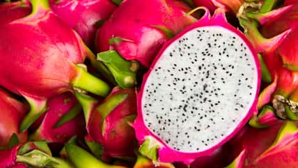 Trader Joe’s New Tropical Dragon Fruit Drink Concentrate Is Basically A DIY Starbucks Refresher For $3.99