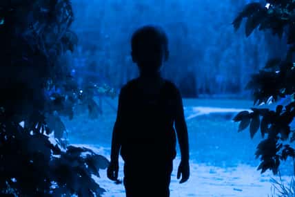 Silhouette of a boy in the aisle between the trees in blue night light. The concept of adventure, mysticism and sleepwalking