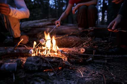 Company of friends fries delicious marshmallows on a bonfire, on a warm summer evening in the woods.