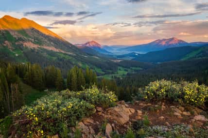A beautiful sunset on the mountainside overlooking Mt Crested Butte on a wildflower summer day