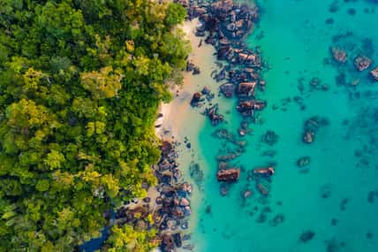 Where Rainforest meets Coral Reef at remote