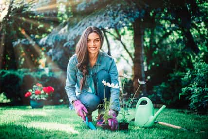 Full length shot of young woman gardening at home in the backyard. Happy woman wearing casual clothes while planting flowers.