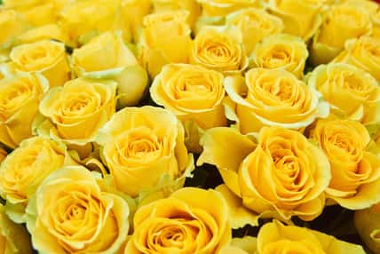 flower shop concept. Close-up beautiful lovely bouquet of mixed flowers on wooden table