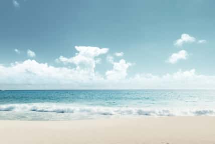 tropical beach