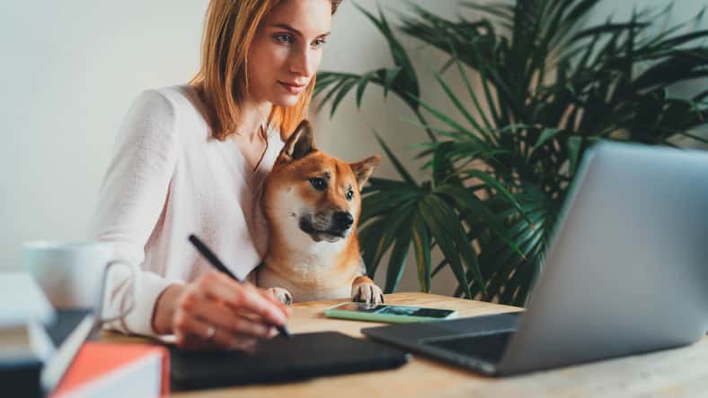 iana_kolesnikova - stock.adobe.com