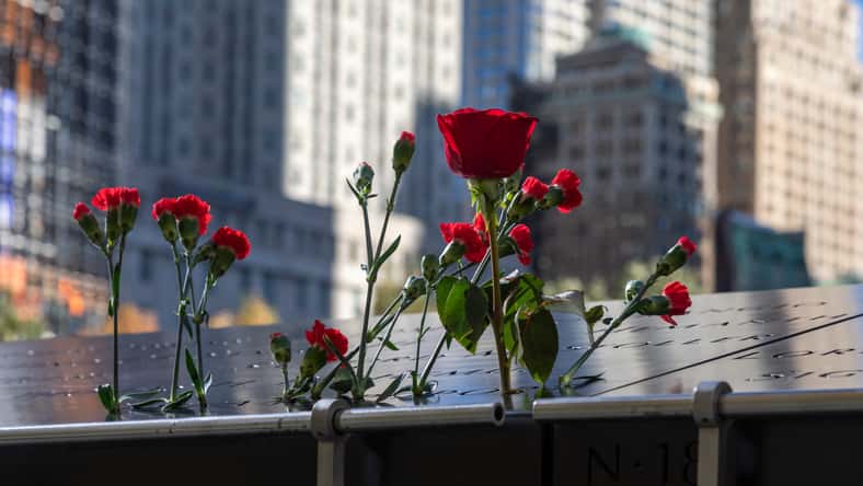 Ricardo Canino - stock.adobe.com - closeup of flowers placed at the 9:11 memorial in New York city