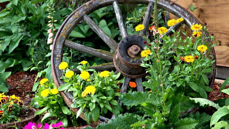 ronm - stock.adobe.com - illustrative purpose only, not the actual wagon wheel