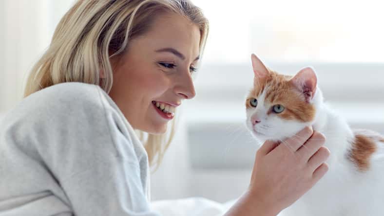 Syda Productions - stock.adobe.com - illustrative purposes only, not the actual person or cat