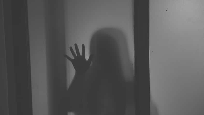 The silhouette of a human in front of a door at night.Scary scene Halloween concept of blurred silhouette,Ghost movies poster
