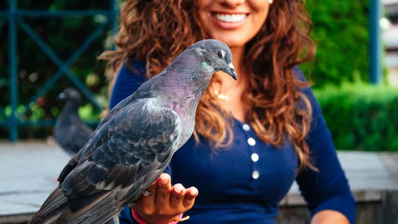 Peruphotoart - stock.adobe.com - illustrative purposes only, not the actual person or pigeon