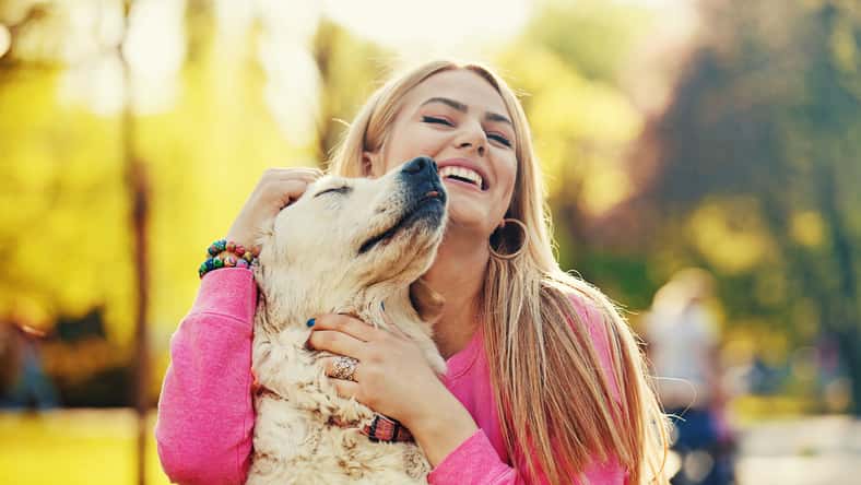 grki - stock.adobe.com - illustrative purposes only, not the actual person or dog