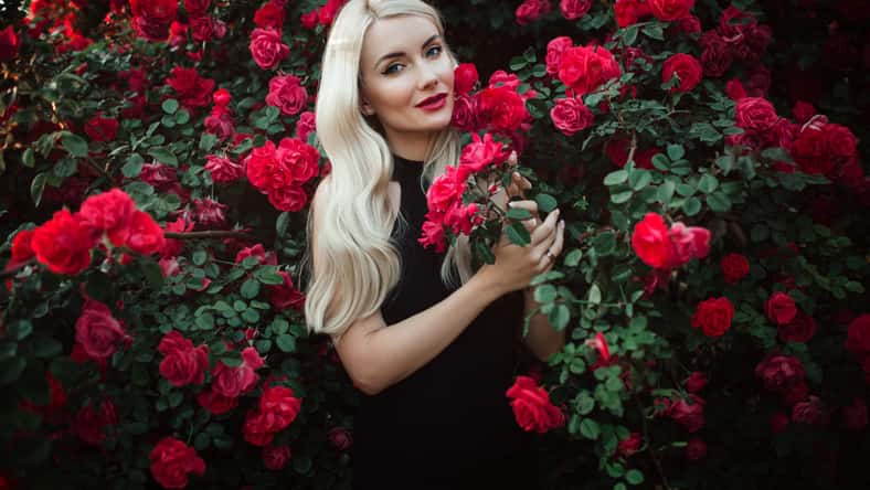 Beautiful smiling blonde woman in bush of red roses