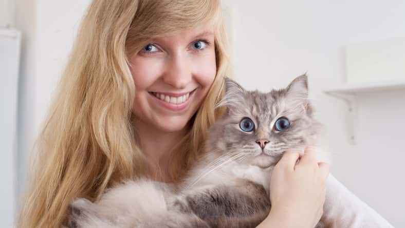 rock_the_stock - stock.adobe.com - illustrative purposes only, not the actual person or cat