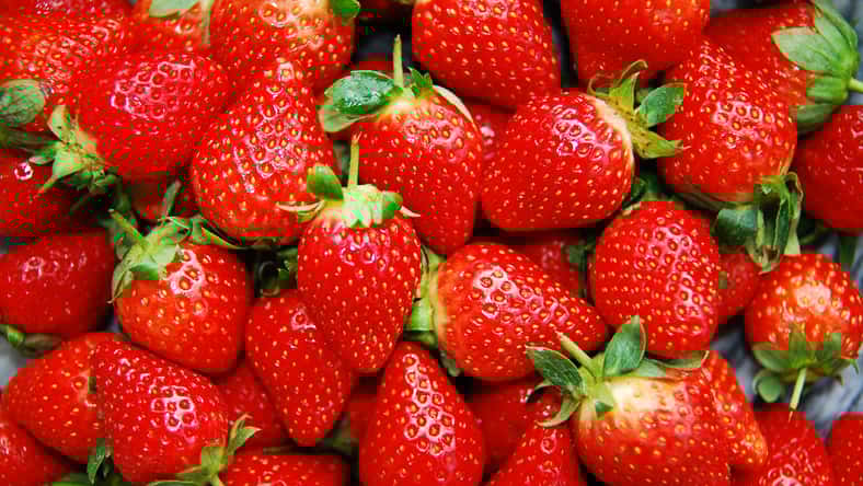 ID 8262957 - © Lotscc - Dreamstime.com - illustrative purposes only