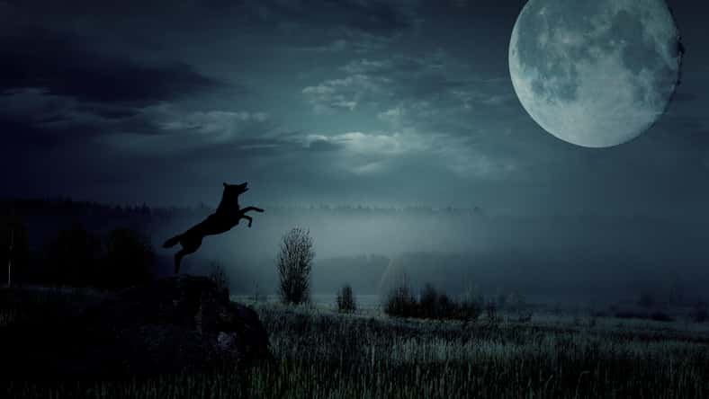 novolodskiy - stock.adobe.com- illustrative purposes only