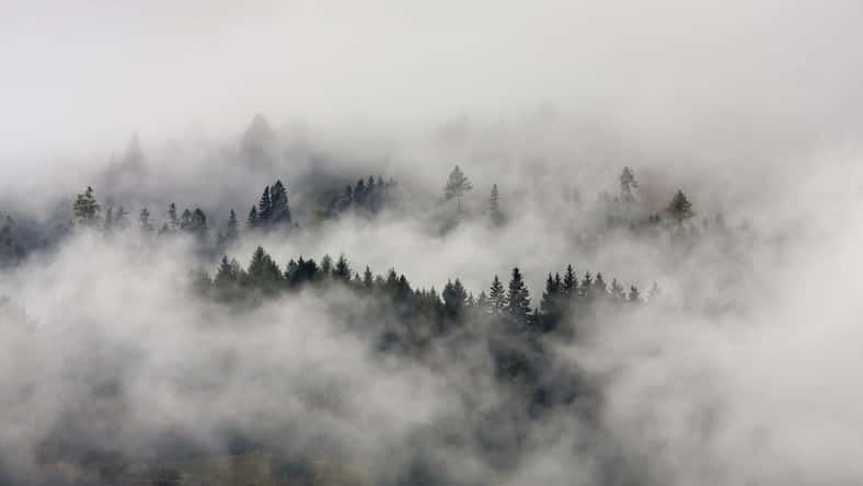 ID 35255645 - © Sindlera - Dreamstime.com - illustrative purposes only