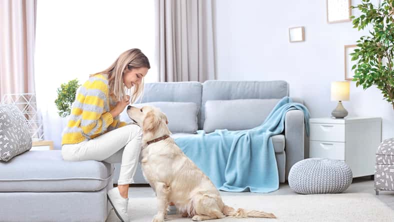 Africa Studio - stock.adobe.com- illustrative purposes only, not the actual person or dog