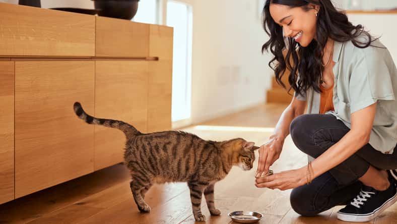 Rido - stock.adobe.com- illustrative purposes only, not the actual person or cat