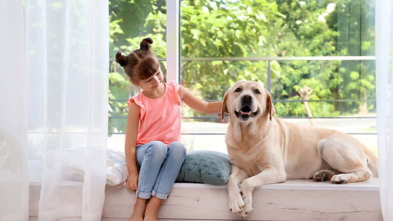 New Africa - stock.adobe.com - illustrative purposes only, not the actual child or dog