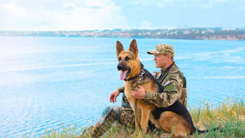 New Africa - stock.adobe.com - illustrative purposes only, not the actual person or dog