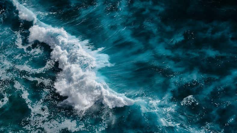 Dmitry Yakovtsev - stock.adobe.com - illustrative purposes only