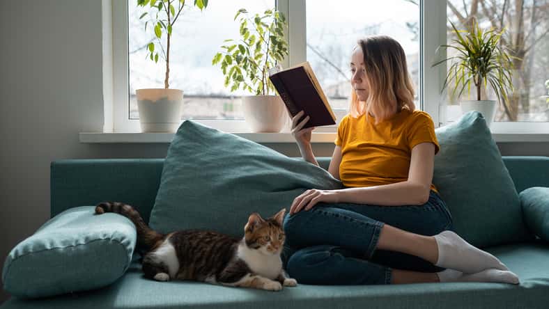 Maria - stock.adobe.com - illustrative purposes only, not the actual person or cat