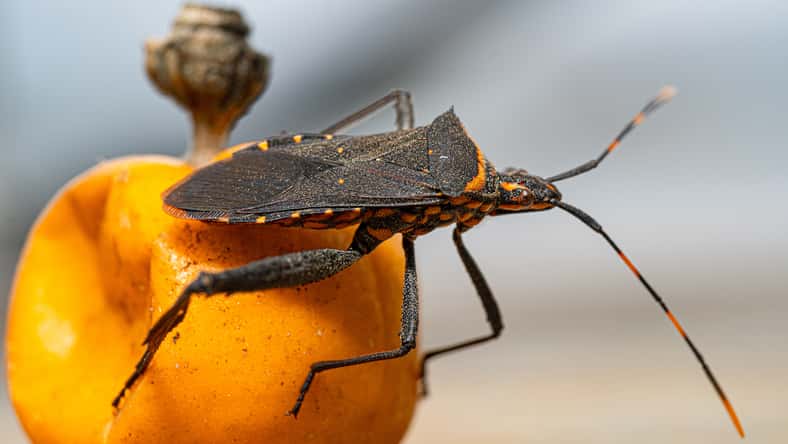 oktavianus - stock.adobe.com - illustrative purposes only