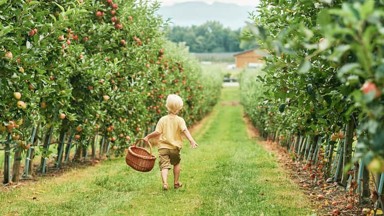 annanahabed - stock.adobe.com - illustrative purposes only, not the actual child