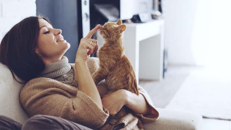 Alena Ozerova - stock.adobe.com - illustrative purposes only, not the actual person or cat