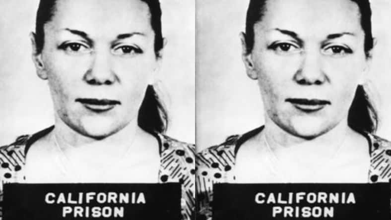 pictured above is Barbara in her mugshot