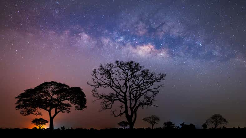 Landscape Milky way with stars,silhouette tree in africa.Tree silhouetted against a setting sun.Dark tree on open field dramatic blue night.Typical african night with acacia trees in Masai Mara,Kenya.