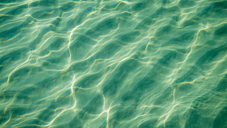 Tropical blue-green waters background in shallow seas with small waves in bright sunlight