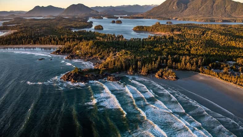 A landscape of Tofino covered in greenery surrounded by the sea in the Vancouver Islands, Canada