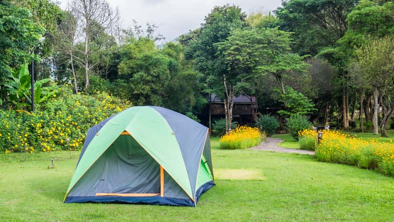 Tent camping relaxing on green lawn backyard