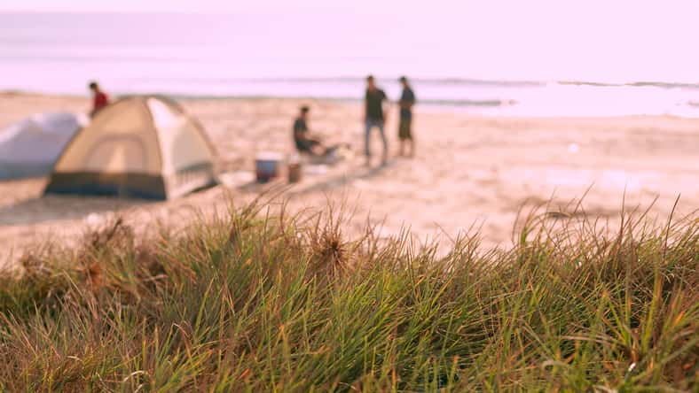 Defocus photo with view on the grass and background of camping and people at the beach near the sea