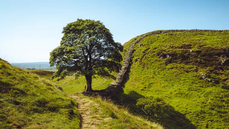 Northumberland UK: Hadrians Wall built on tall cliffs (Roman Wall) on a sunny summer day in English countryside