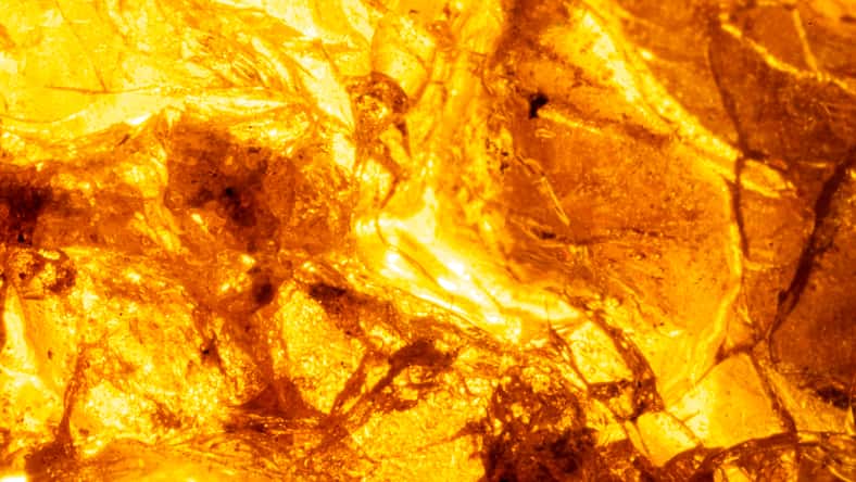 Background, texture bright orange stone amber, tin. Macro photo of the stone.